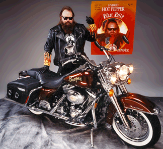 Photo of motorbike